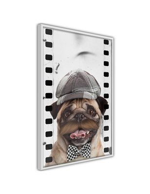 Poster  Dressed Up Pug